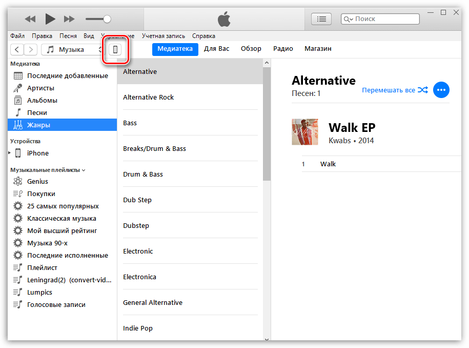 Меню управления iPhone в программе iTunes