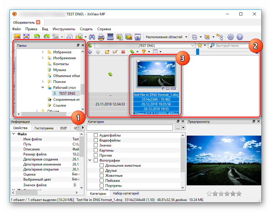 Открытие файла DNG в программе XnView