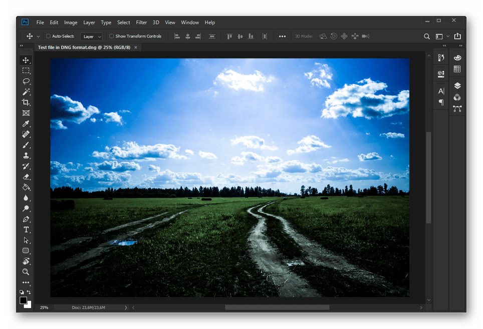 Успешный перенос файла DNG в Adobe Photoshop