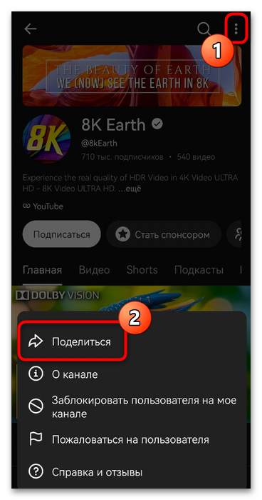 Как скопировать ссылку в Ютубе-16
