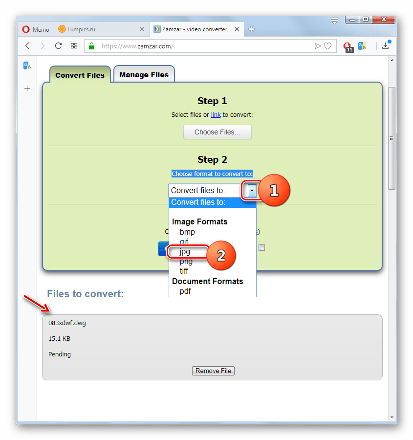 Выбор формата JPG для преобразования на сервисе Zamzar в браузере Opera