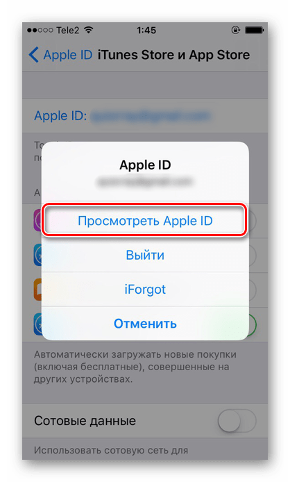 Просмотр Apple ID в настройках iPhone для привязки банковской карты