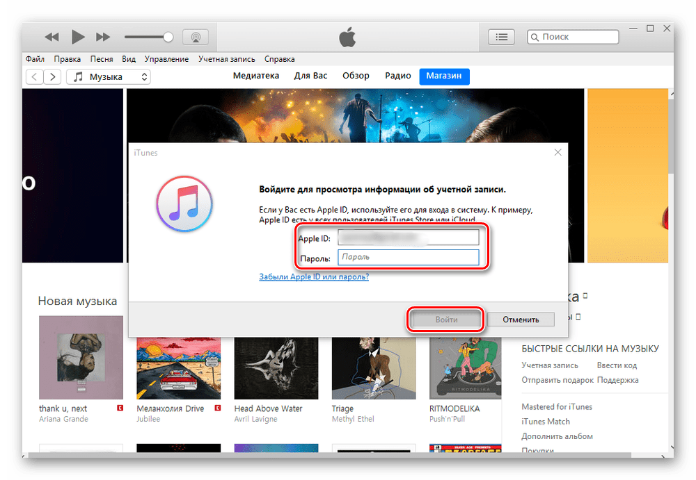 Ввод данных от Apple ID в программе iTunes на компьютере