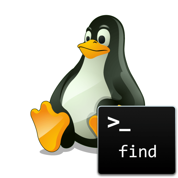 Примеры использования команды Find в Linux
