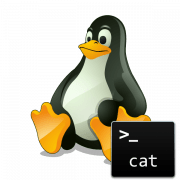 Примеры команды cat в Linux