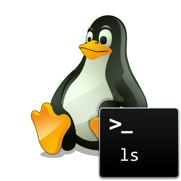 Примеры команды ls в Linux