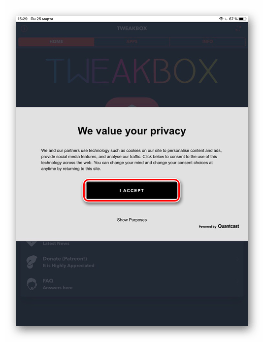 Принятие политики конфиденциальности при первом входе в приложение TweakBox на iPad