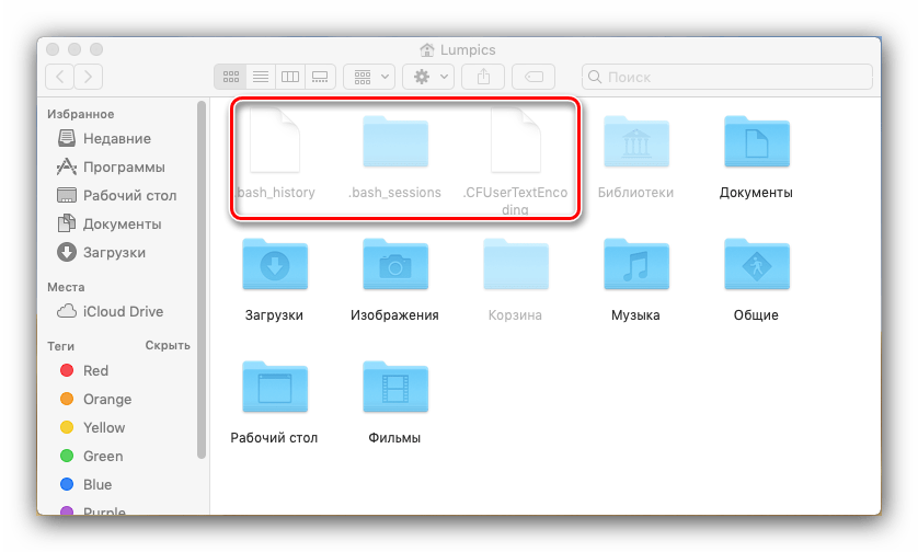 Скрытые файлы macOS, отображенные командой в Терминале