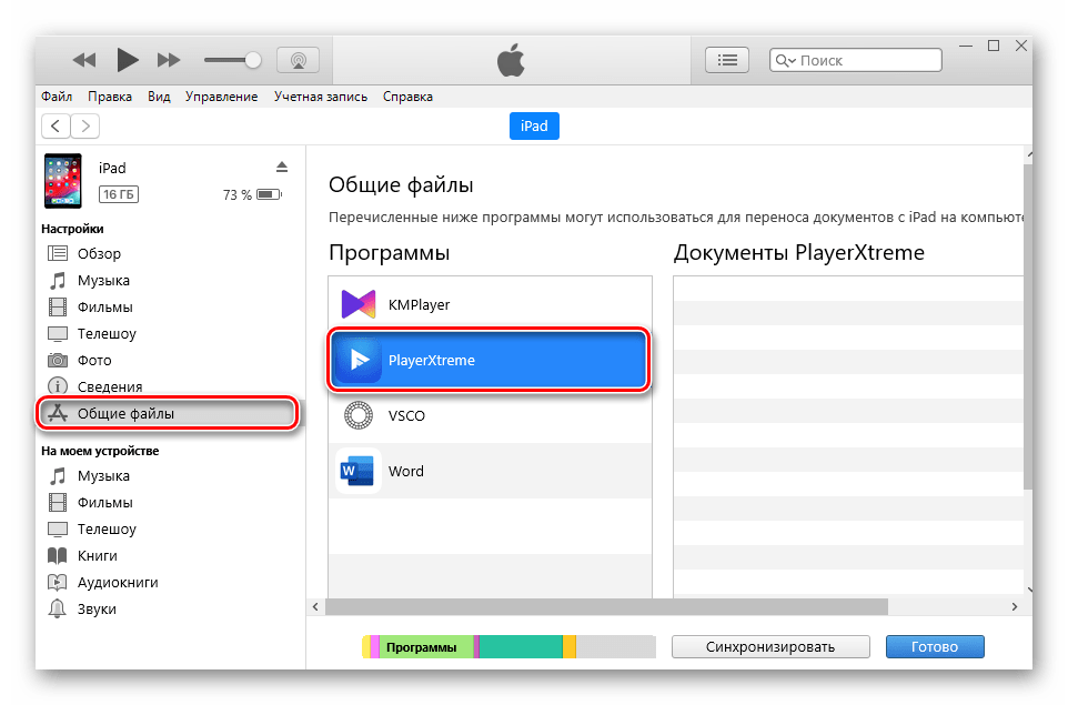 Переход в раздел Общие файлы в программе iTunes