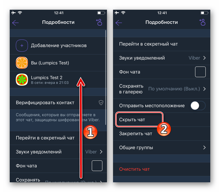 Viber для iPhone опция Скрыть чат в меню Подробности диалога или группы