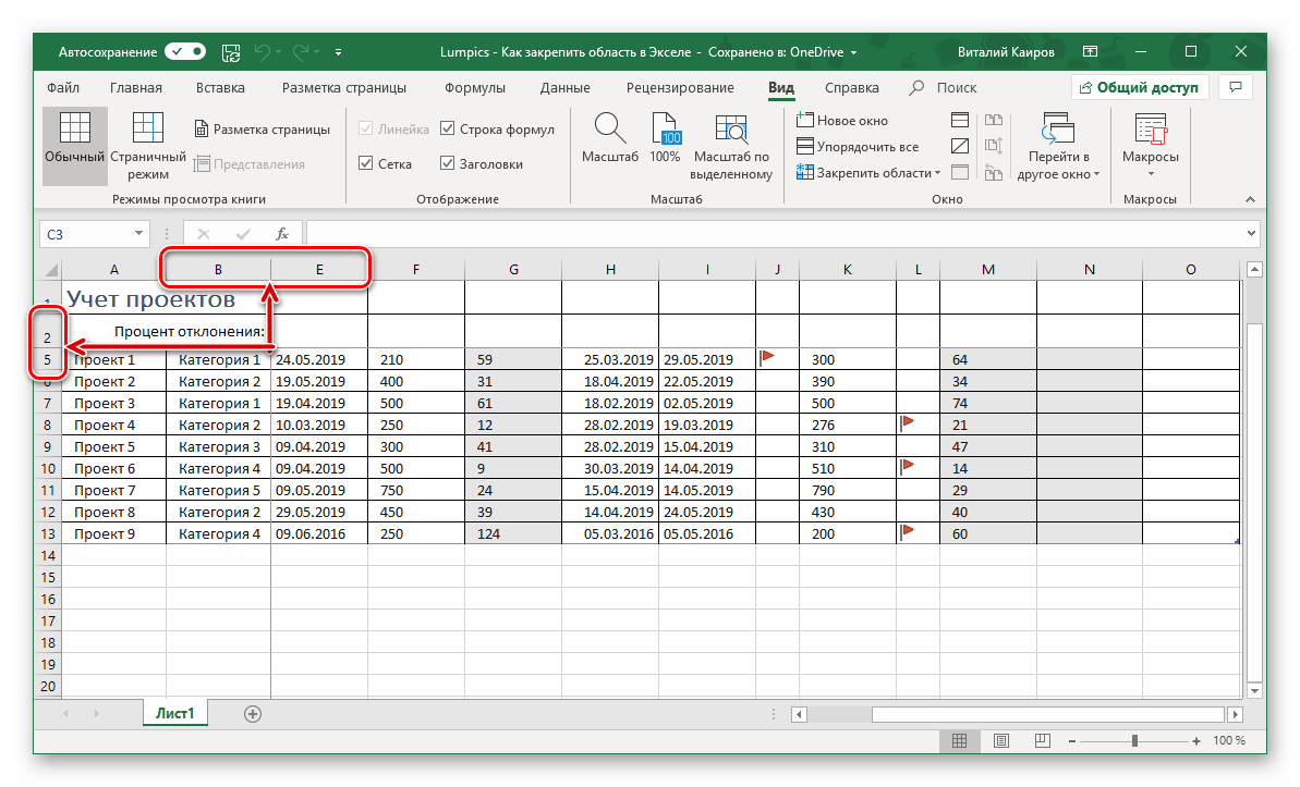 Область из столбцов и строк заккреплена в таблице Microsoft Excel