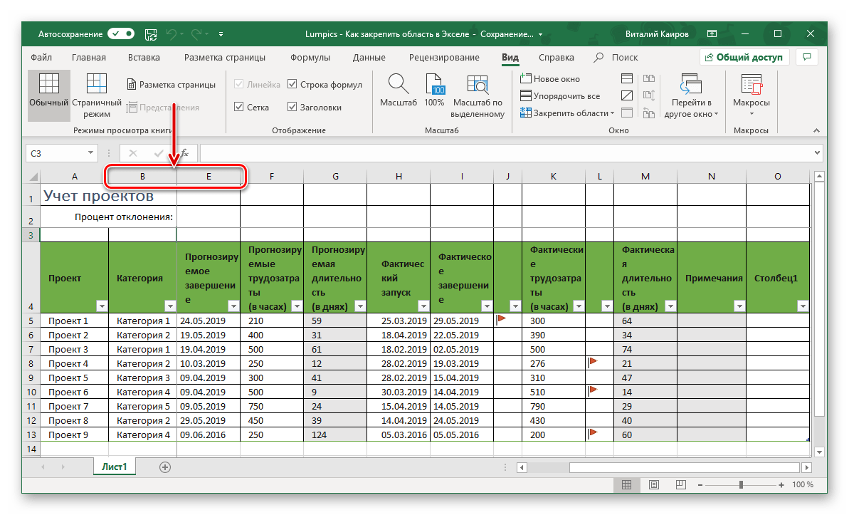 Область из столбцов закреплена в таблице Microsoft Excel