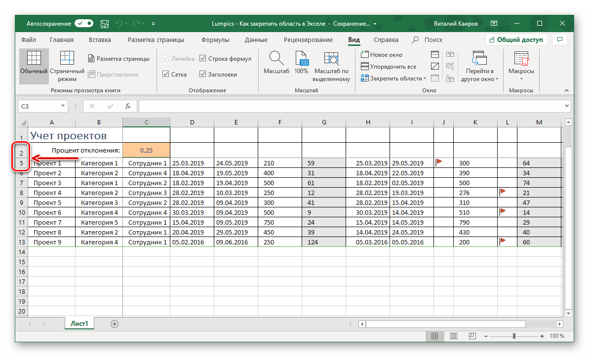 Область из строк закреплена в таблице Microsoft Excel