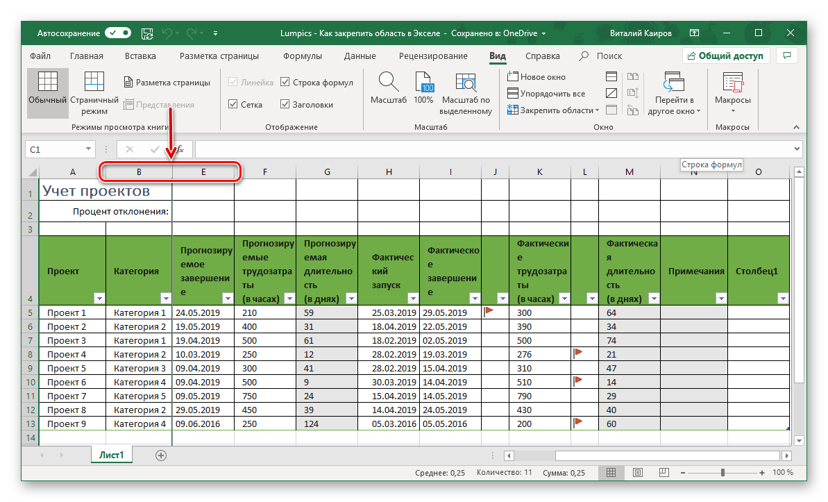 Результат успешного закрепления столбцов в таблице Microsoft Excel