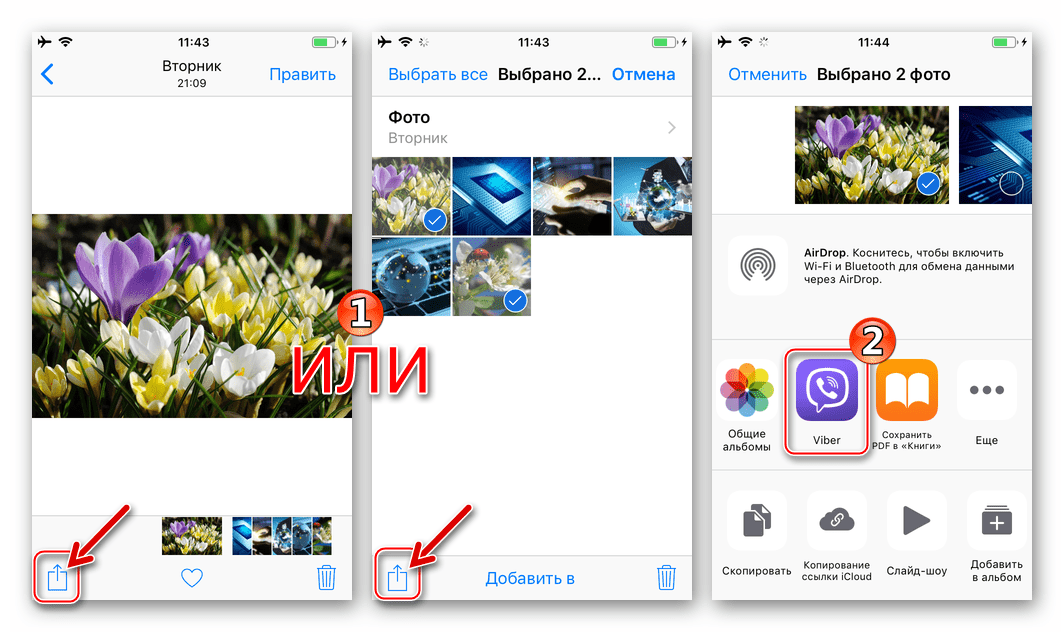 Viber для iPhone функция Поделиться в iOS, выбор мессенджера в качестве способа отправки фото
