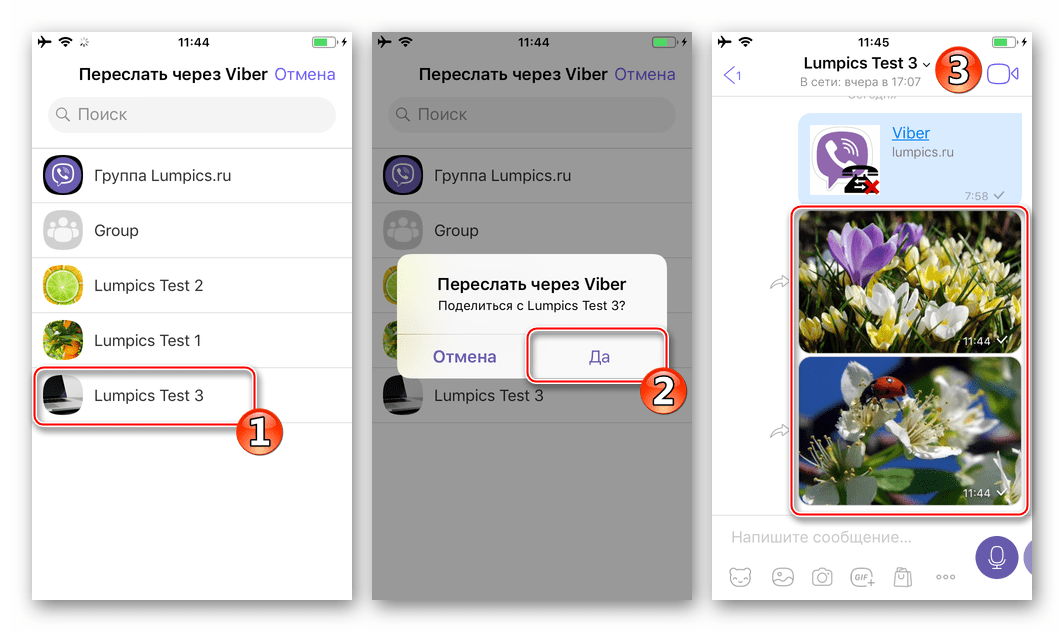 Viber для iPhone отправка изображений из приложения Фото через мессенджер в существующие чаты