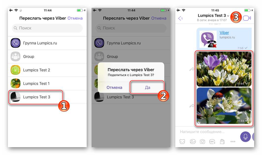 Фото вайбер на айфоне. Переслать через вайбер. Вайбер как отправить фото. Как отправить картинку в вайбере. Переслать фото.