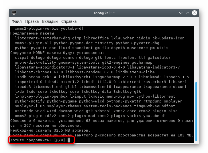 Подтверждение установки окружения LXDE в Kali Linux