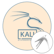 Установка LXDE в Kali Linux