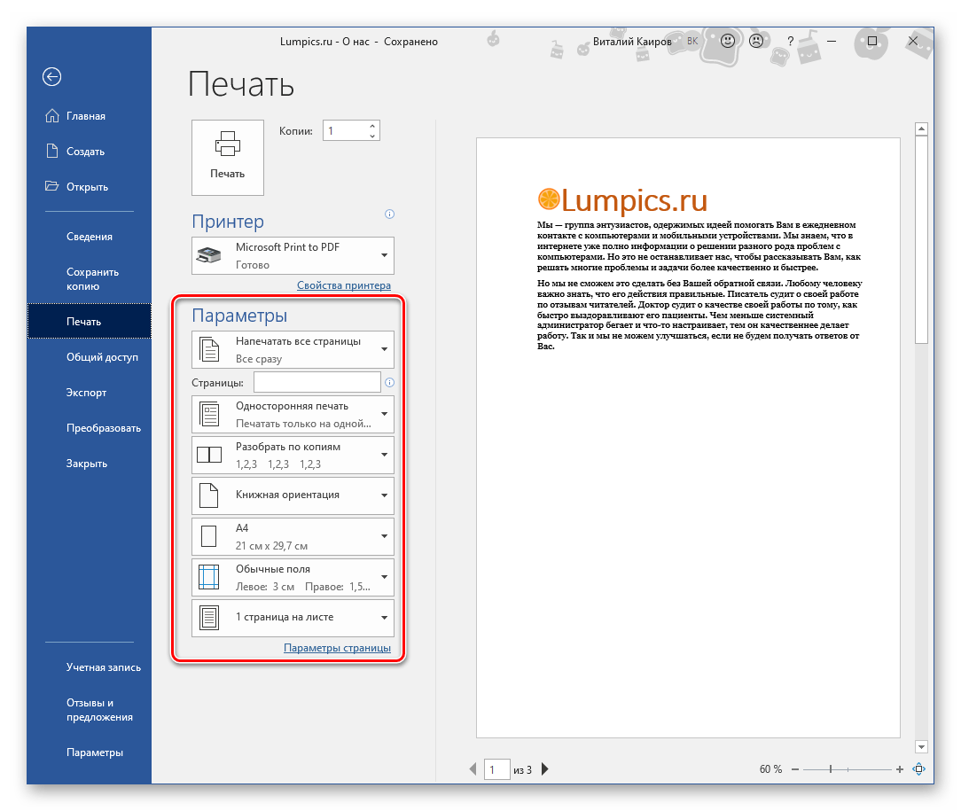 Определение дополнительных параметров печати документа в Microsoft Word
