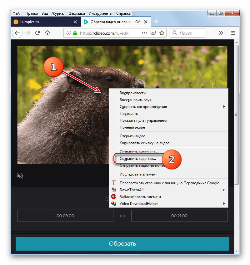 Сохранить кадр. Сохранить Кадр из видео как фото. Как из видео извлечь фото. Вырезать Кадр из видео. Вырезать видео.
