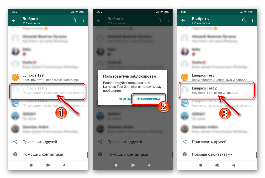 Абоненты в ватсап. Как разблокировать контакт в вот. Как разблокировать контакт в ватсапе. Как разблокировать контакт в ватсапе на андроиде. Как разблокировать номер в ватсапе.