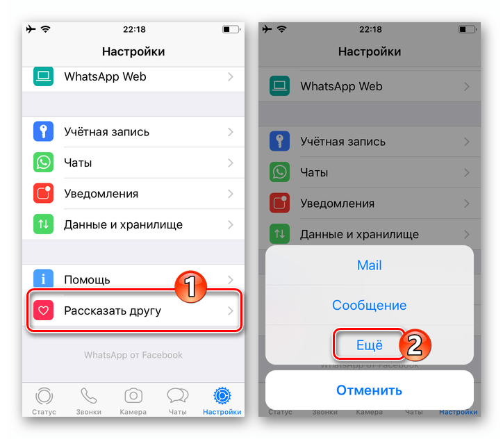 WhatsApp для iOS функция Рассказать другу в Настройках мессенджера