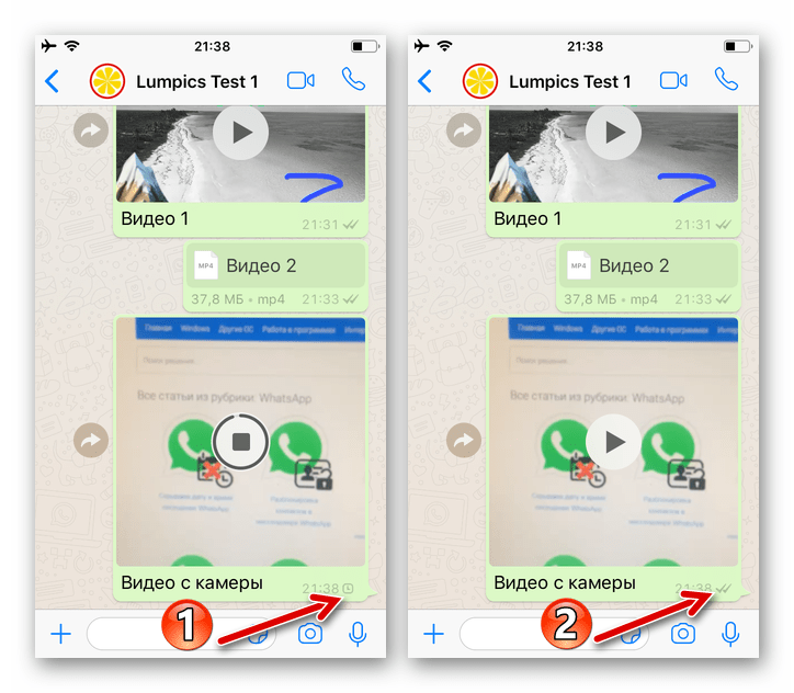 WhatsApp для iPhone процесс передачи видео с камеры через мессенджер