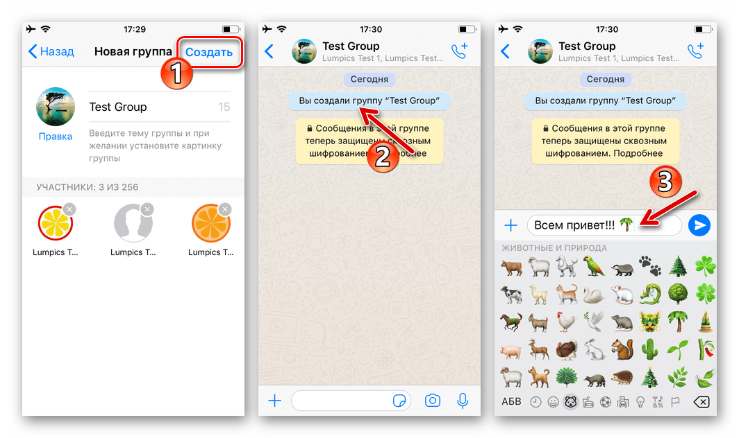 WhatsApp для iPhone завершение процесса создания группы в мессенджере