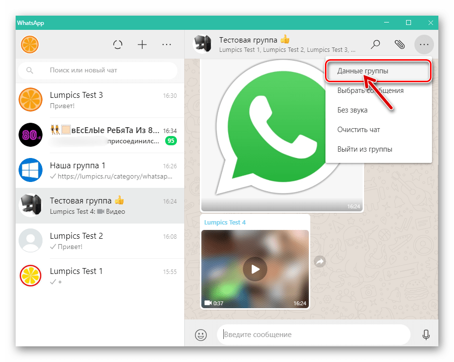 WhatsApp для компьютера пункт Данные группы в меню чата