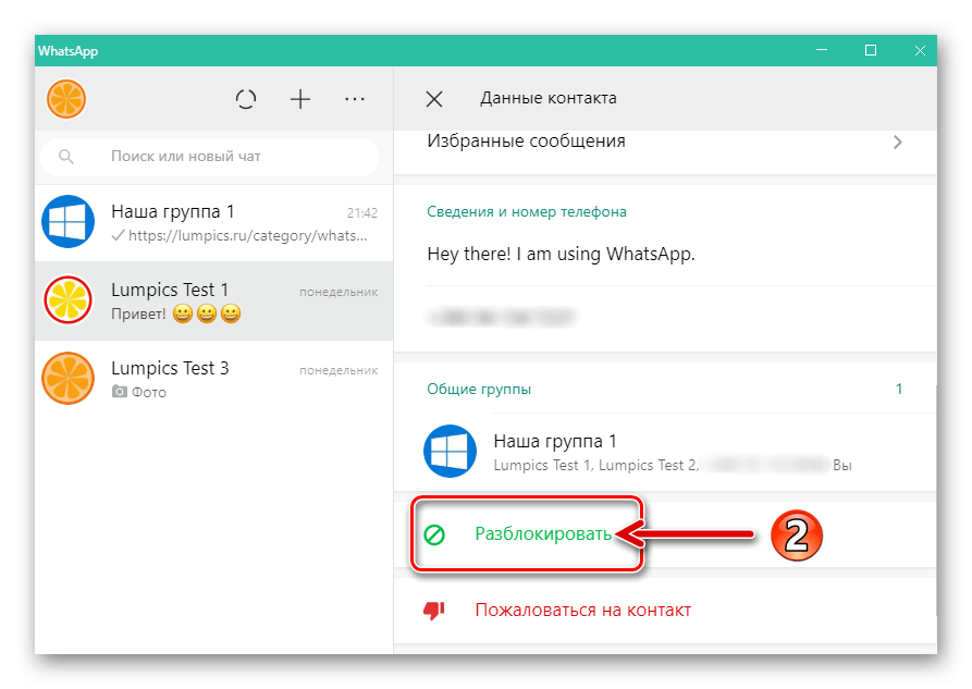 WhatsApp для Windows функция Разблокировать в области Данные контакта