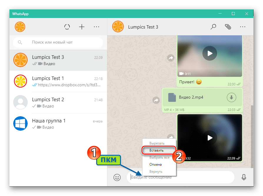 WhatsApp для Windows вставка в сообщение ссылки на видео из буфера обмена