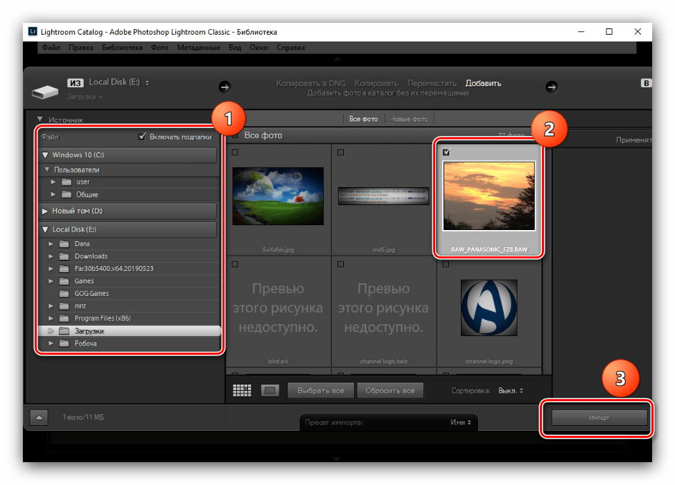 Подробности импорта файла для конвертирования RAW в JPG через Adobe Lightroom