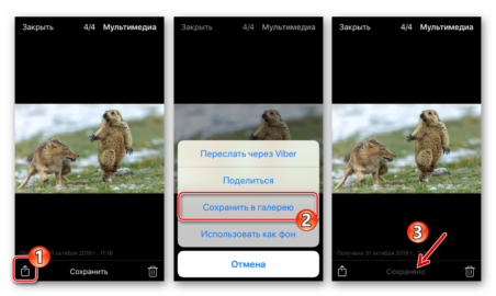 Как сохранить фото из вайбера в галерею