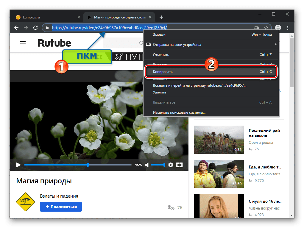 Viber для Windows копирование ссылки на веб-страницу с видео