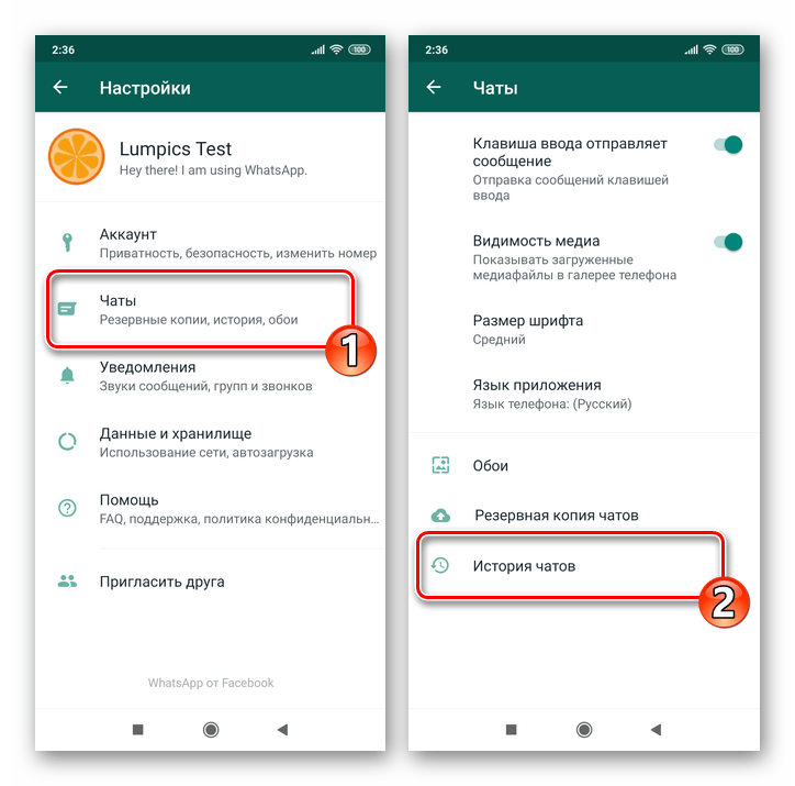 WhatsApp для Android Чаты - История чатов в настройках мессенджера