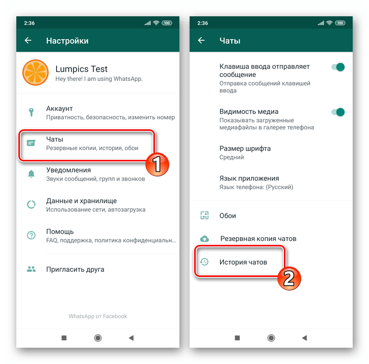 WhatsApp для Android Настойки - Чаты - История чатов