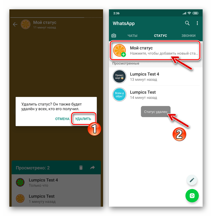 WhatsApp для Android Подтверждение запроса об удалении статуса пользователя