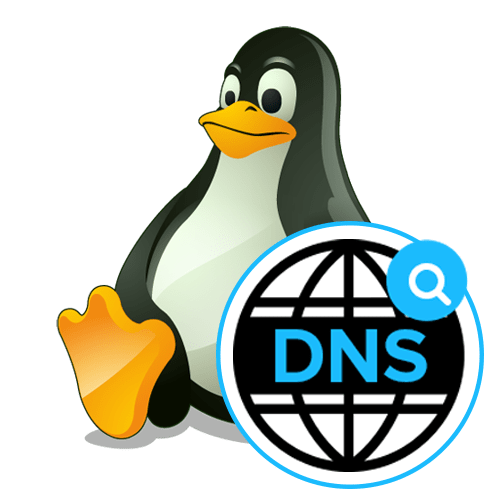 Настройка DNS в Linux
