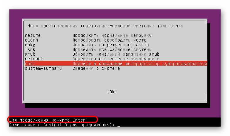 Подтверждение запуска консоли для смены пароля root в режиме восстановления Linux