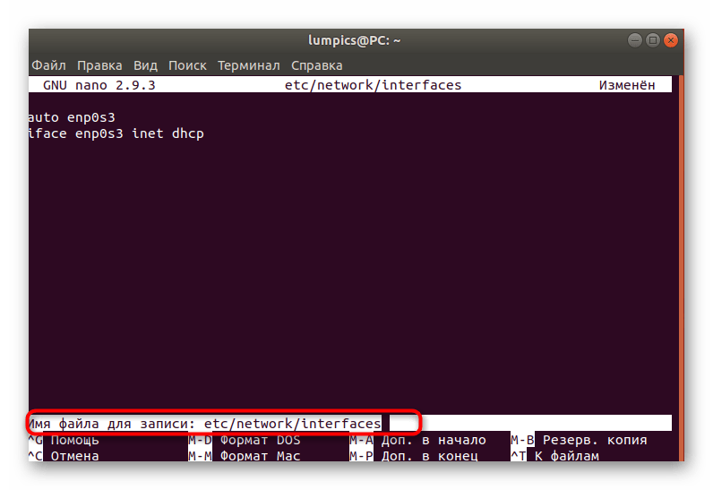 Сохранение имени файла при настройке DNS в Linux