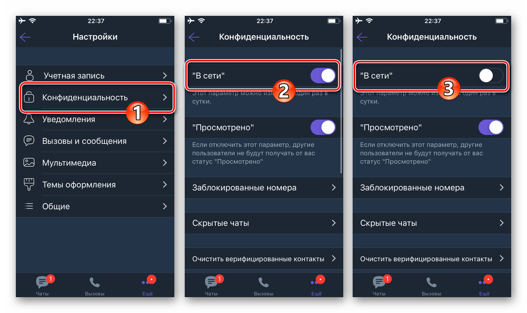 Viber для iOS - деактивация параметра В сети в настройках Конфиденциальность