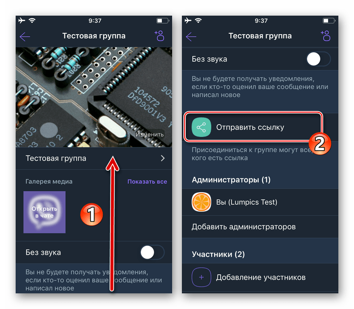 Viber для iOS пунт Отправить ссылку меню параметров группового чата