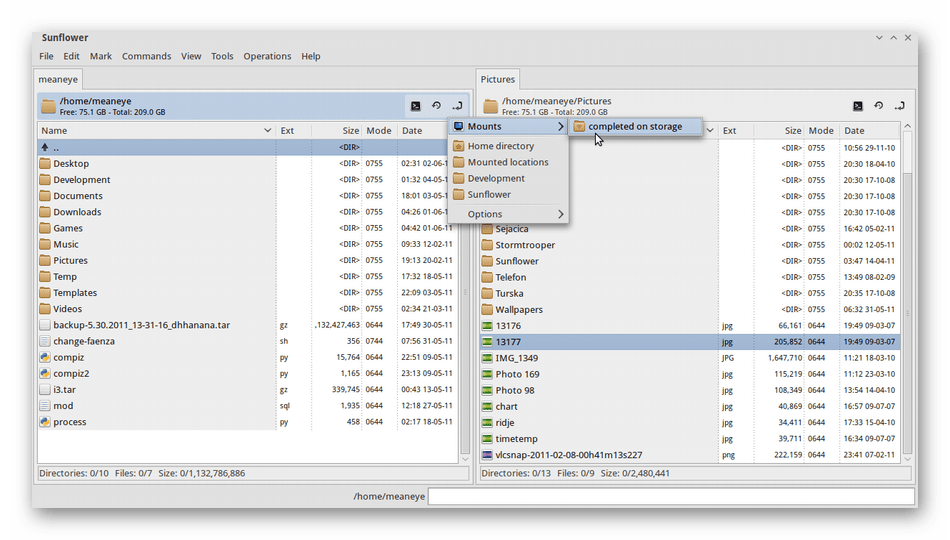 Внешний вид файлового менеджера Sunflower для дистрибутивов Linux
