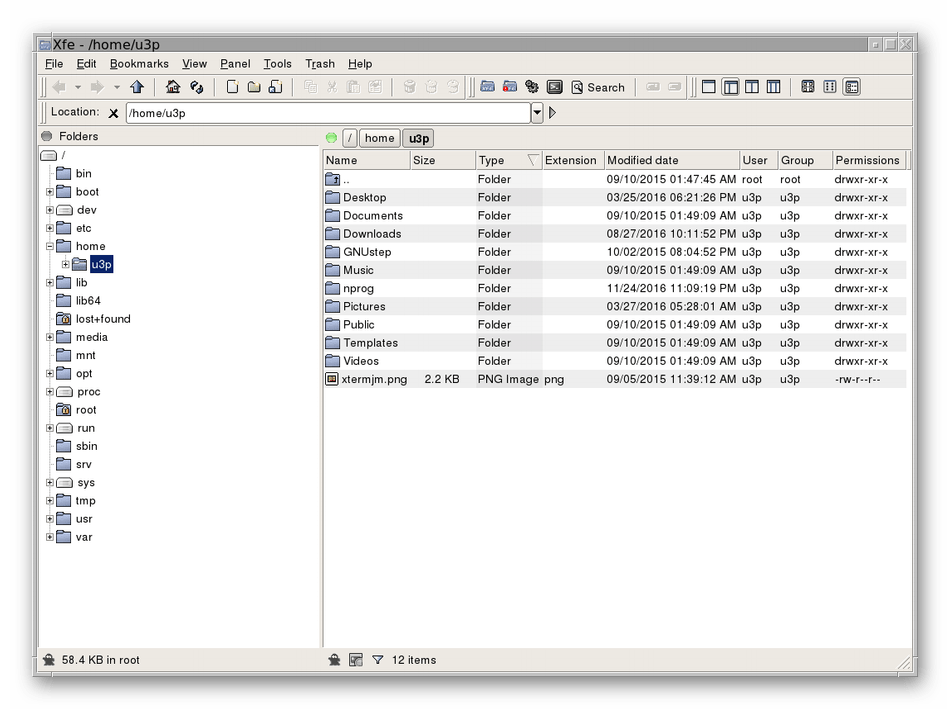 Внешний вид файлового менеджера XFE для дистрибутивов Linux