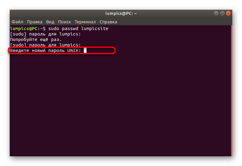 Ввод нового пароля после удачного сброса Ubuntu