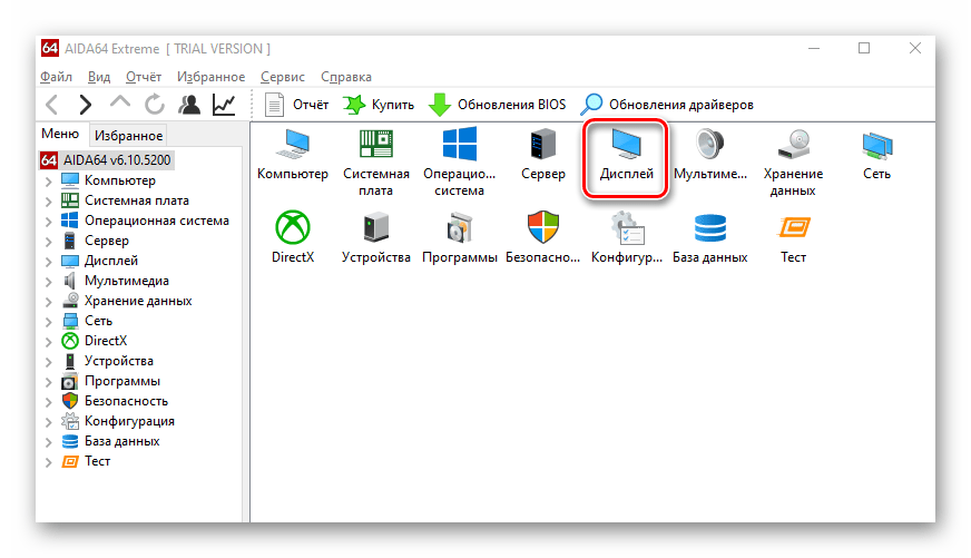 Переход в раздел Дисплей в программе AIDA64 на Windows 10