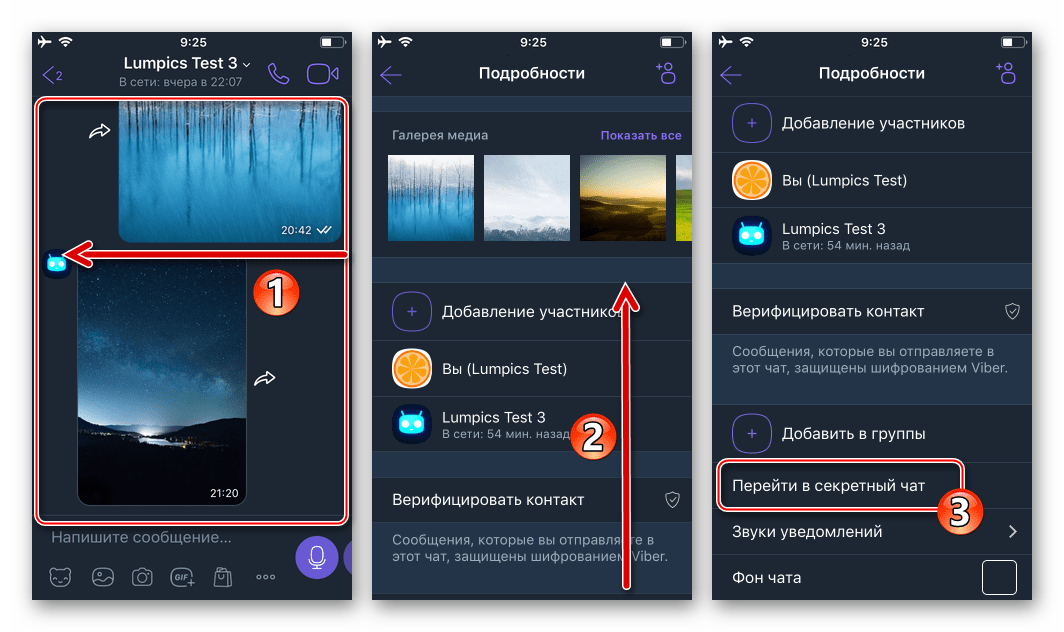 Viber для iOS - опция Перейти в секретный чат в меню Подробности обычного диалога