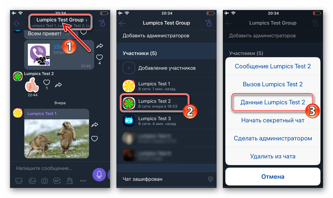 Viber для iOS вызов данных пользователя мессенджера из списка участников группового чата