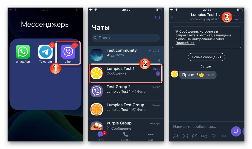 Viber для iOS запуск программы, переход в диалог